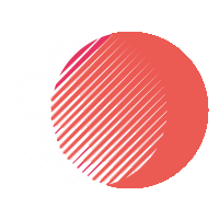 test.polishandpro.com